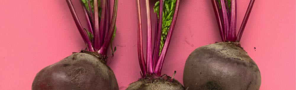 beetroot powder, liver cleanse, health benefits of turmeric, chicory root, natural anti-inflammatory, prebiotic supplements