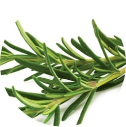 rosemary, natural anti-inflammatory, liver cleanse
