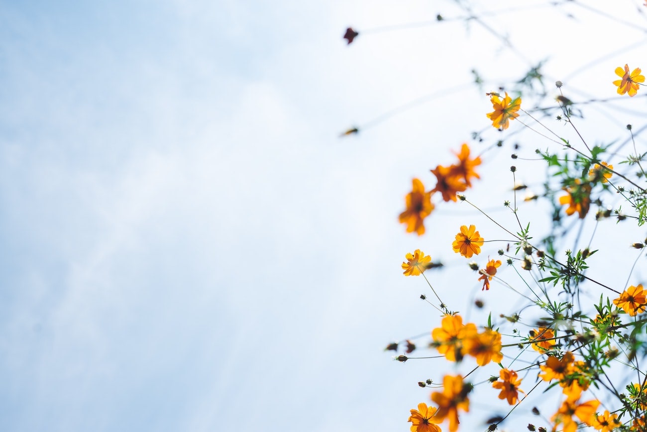 5 Natural Ways To Reduce Stress