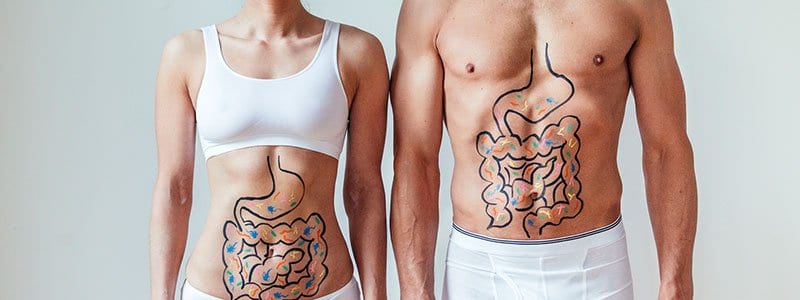 Gut Healing Protocol