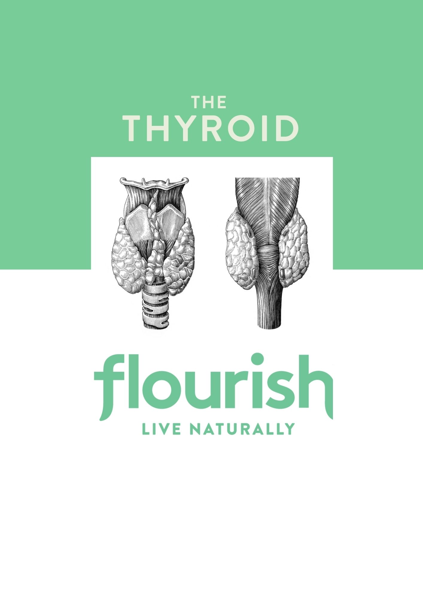 Thyroid e-Book